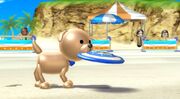 Mii Dog