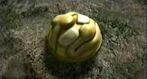 Dedede brooch