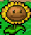 Sunflower DS