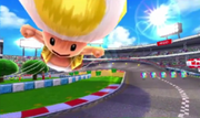 Toad Circuit MK7
