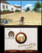 Walk on Nintendogs Cats
