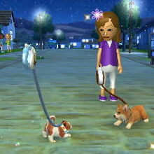 Characters Nintendogs Wiki Fandom