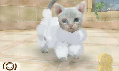 Bath | Nintendogs Wiki | FANDOM powered by Wikia