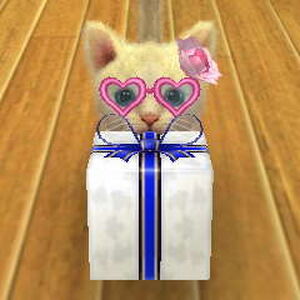 Cat Present Nintendogs Wiki Fandom