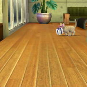 Cat Present Nintendogs Wiki Fandom