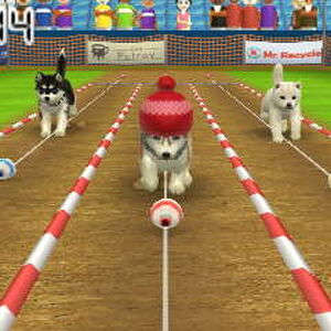 Lure Coursing Nintendogs Wiki Fandom