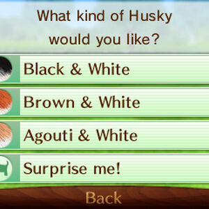 Surprise Me Nintendogs Wiki Fandom