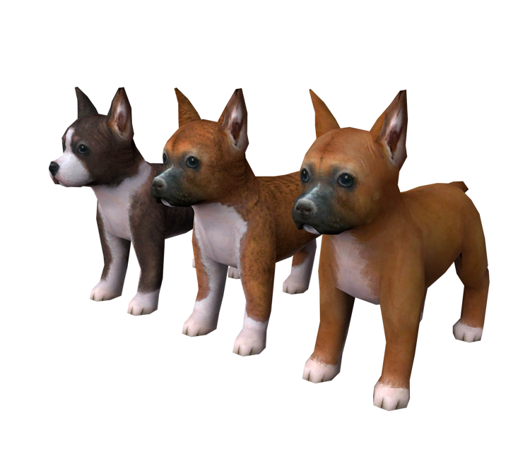 Boxer Nintendogs Wiki Fandom