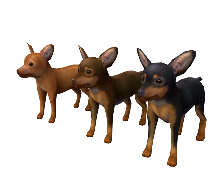 Miniature Pinscher Nintendogs Wiki Fandom