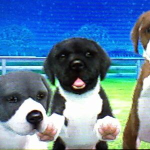 Great Dane Nintendogs Wiki Fandom