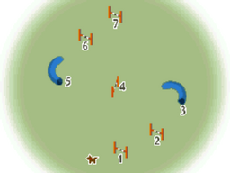 Agility - beginner class