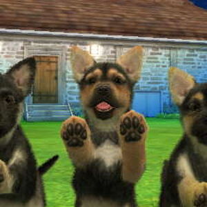 German Shepherd Nintendogs Wiki Fandom
