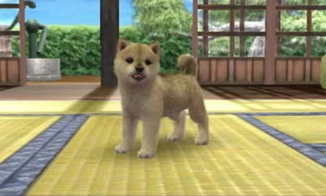 cerita nintendogs rom cerita nintendogs rom