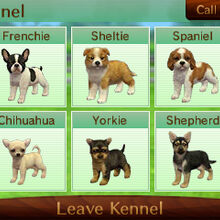 Kennel Nintendogs Wiki Fandom