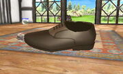 Leather Shoe