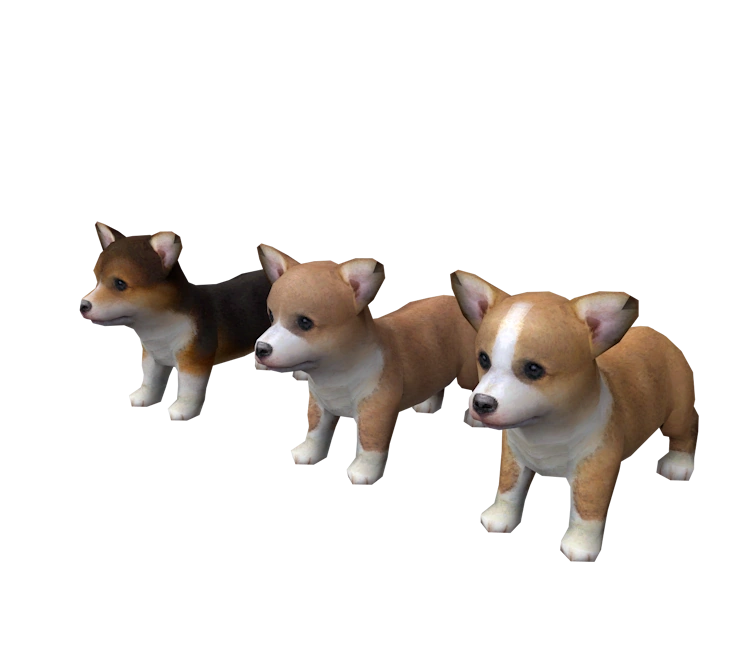 Pembroke Welsh Nintendogs Wiki Fandom