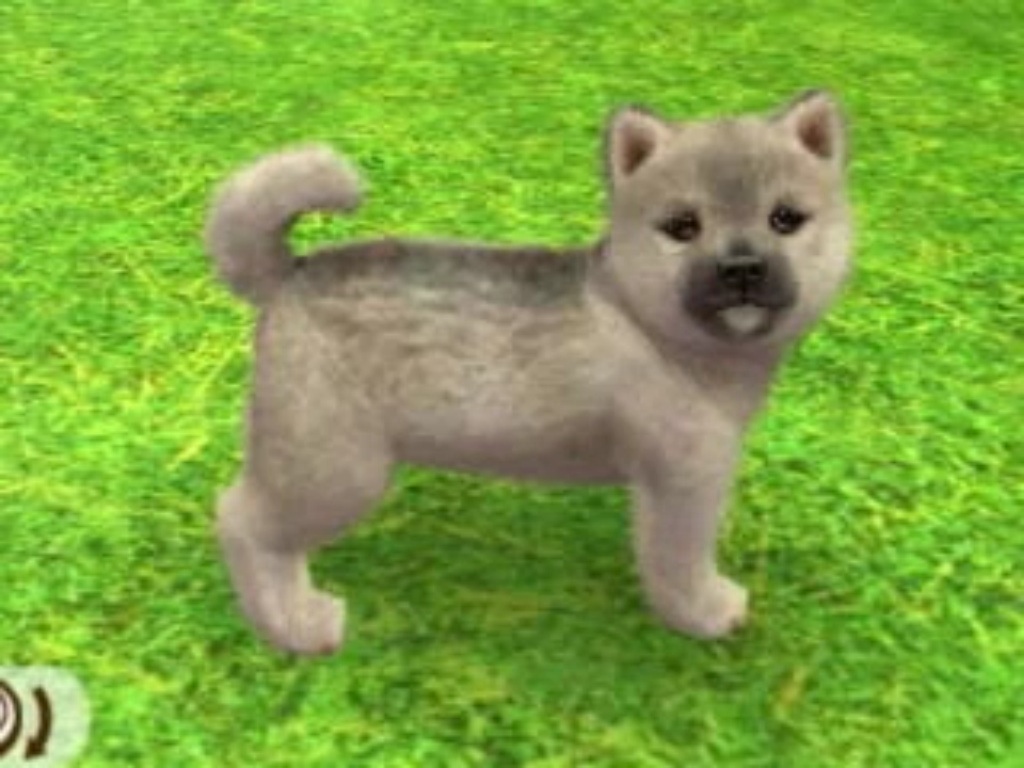 Nintendogs Cats Shiba Inu And Friends