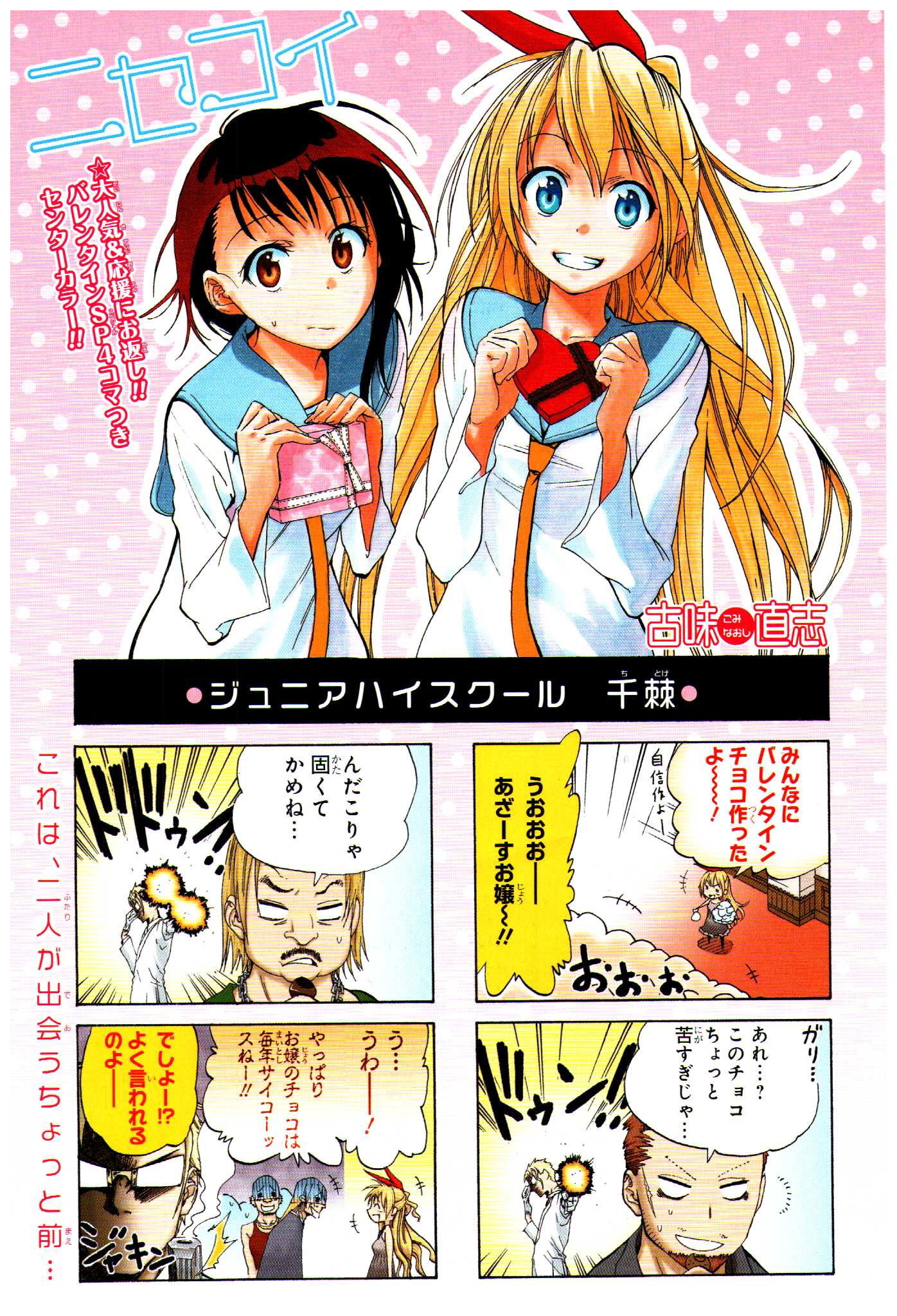 Image - Nisekoi Chapter 13 Cover.jpeg | Nisekoipedia | FANDOM powered