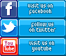 Social Networks