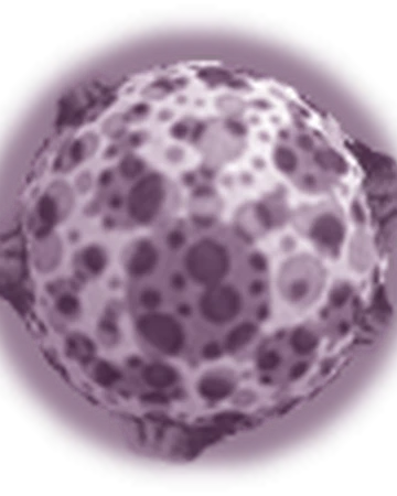 purple space hopper
