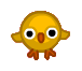 Medium Sized Chick