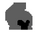 SSN Double Edged Logo