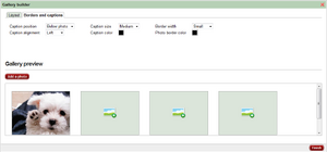 Gallery builder - borders and captions