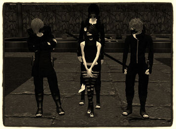 Anbue and the new team