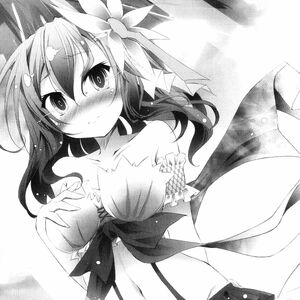 Light Novel Volume 4 No Game No Life Wiki Fandom