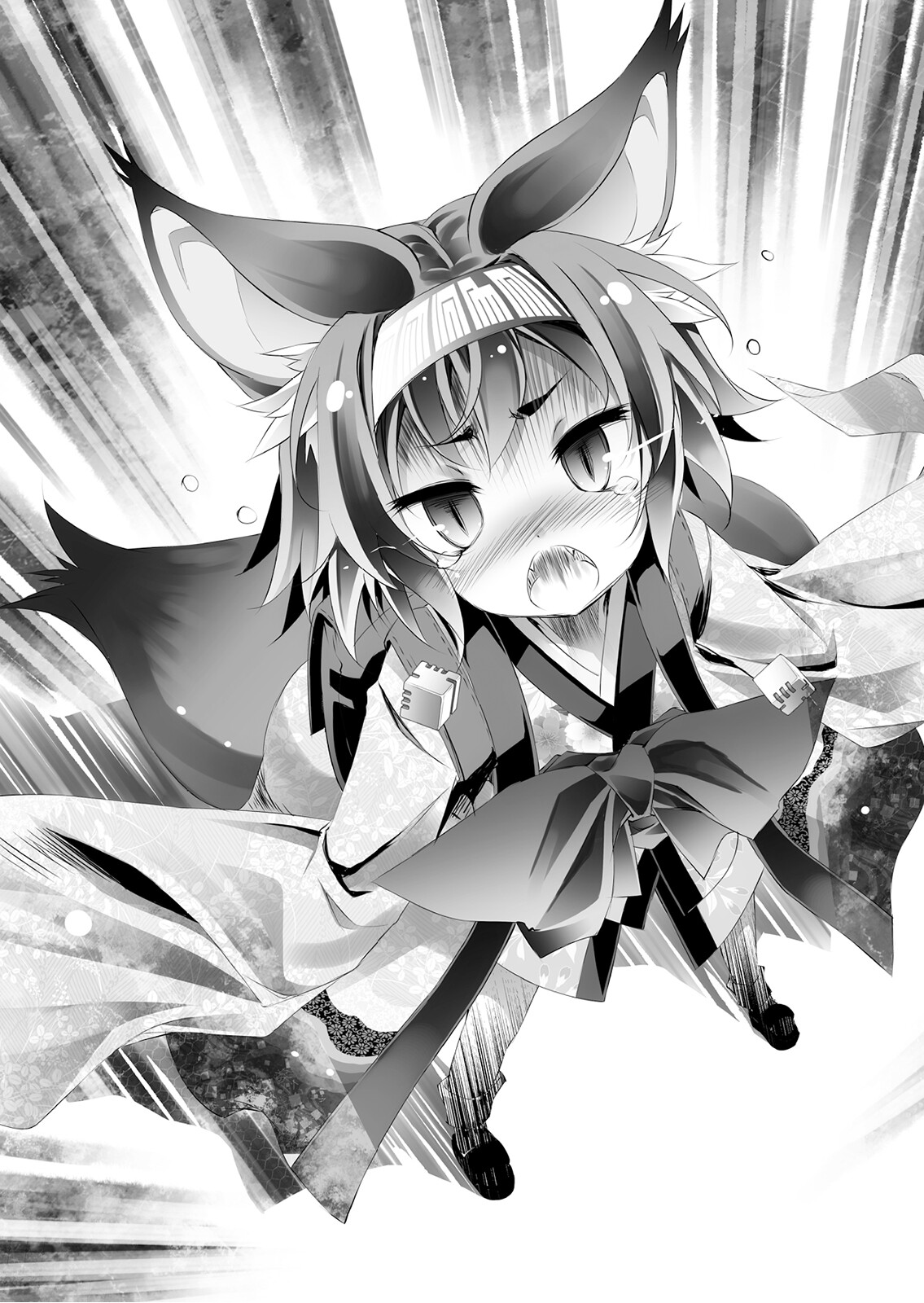 No Game No Life Light Novel Image - Light Novel Volume 8 Illustration - 06.jpeg | No Game No Life