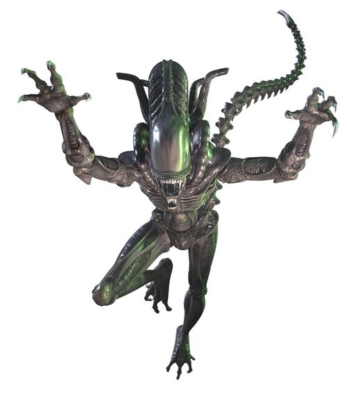 Xenomorph