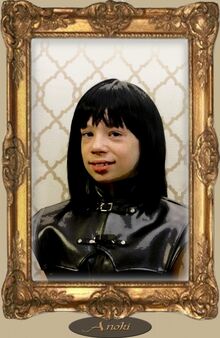 Anoki 2