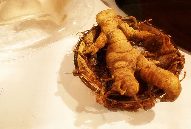 Mandrake Root Pan S Labyrinth Non Alien Creatures Wiki Fandom Mandrake Root 049ba3393aa5711a3661e149c3a6aa88