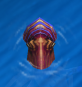 Kraken Age of Mythology