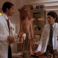 Gnome (A Gnome Named Gnorm)