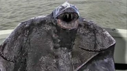 Sea Vampire