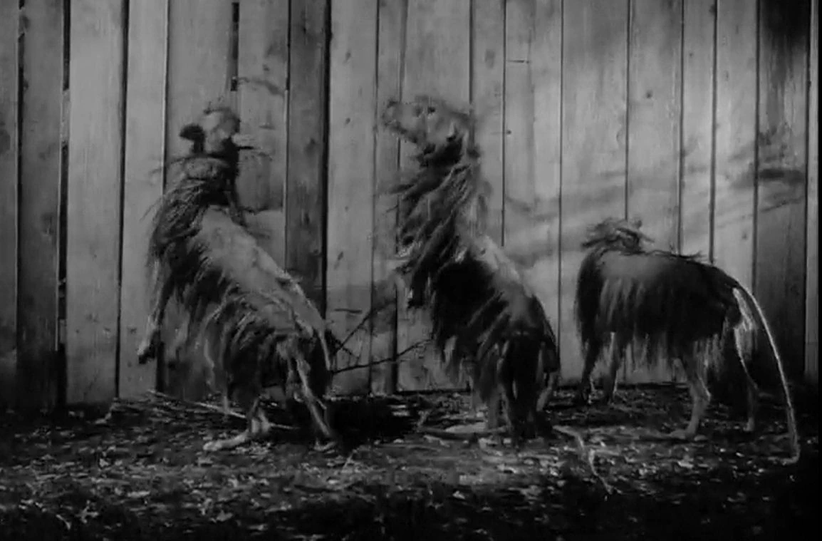 mystery science theater 3000 the killer shrews