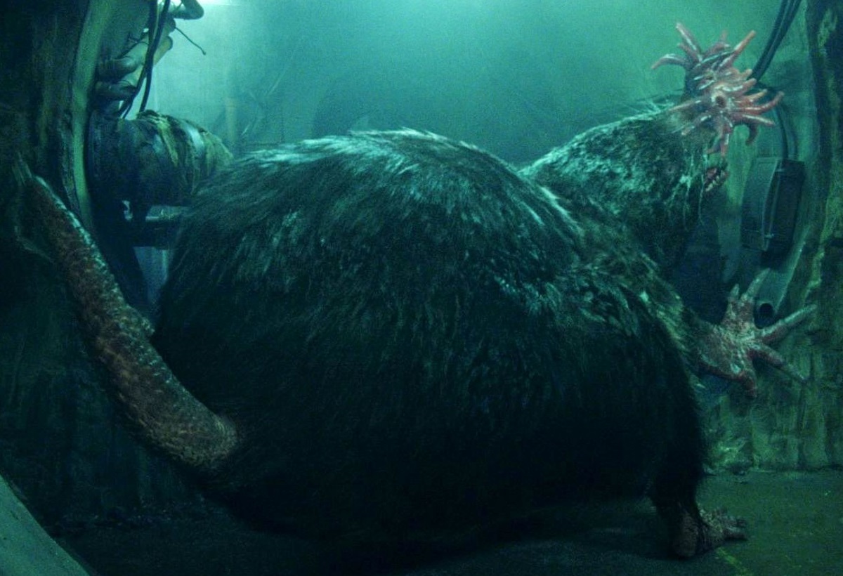 Giant Mole (City of Ember) | Non-alien Creatures Wiki | Fandom