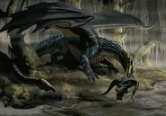 Black Dragon