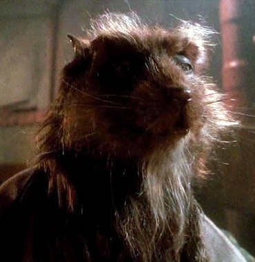 master splinter movie