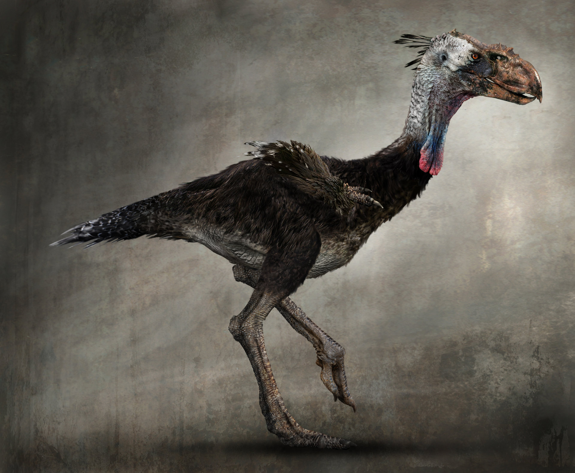 Terror Bird  10 000 B C Non alien Creatures Wiki Fandom