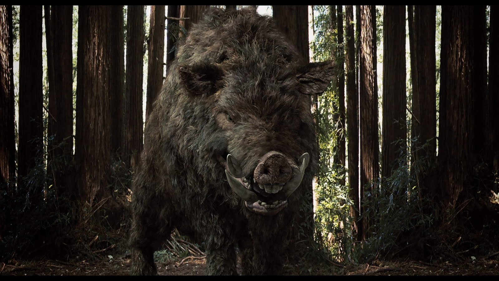 Giant Boar (Chawz) | Non-alien Creatures Wiki | Fandom