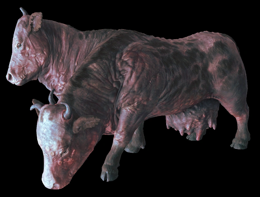 Фоллаут нью вегас брамины. Фоллаут нью вегас брамины. Фоллаут нью вегас брамины. Двуглавая корова фоллаут. Брамин это.