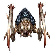 Scarab (Guild Wars)