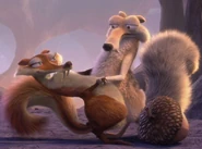 Sabertoothed Squirrel