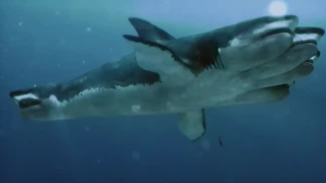 Mutant Shark 5 Headed Shark Mutant Shark 5 Headed Shark