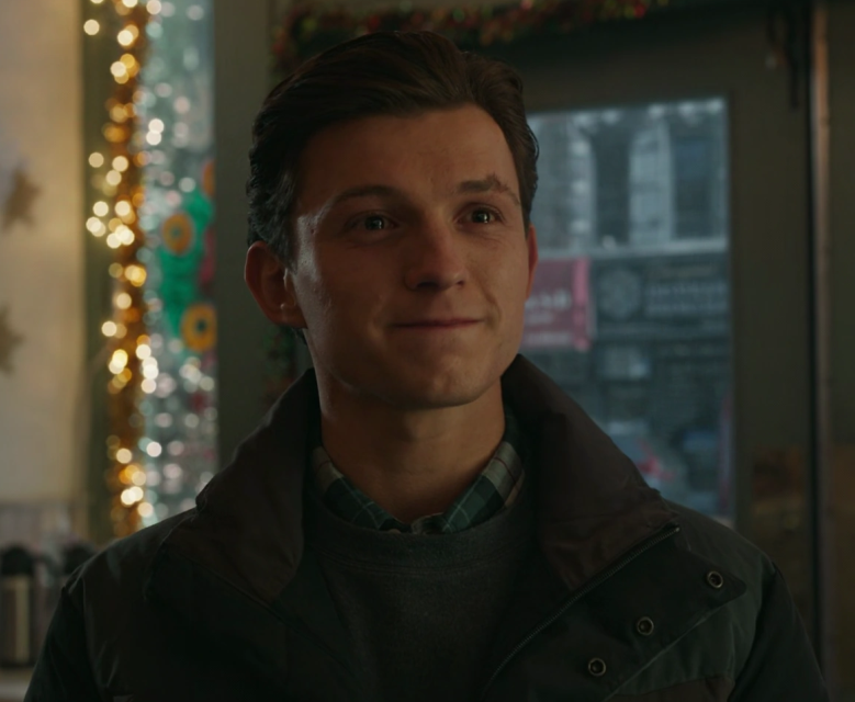 Image - Peter Parker (Tom Holland).png | Non-alien Creatures Wiki ...