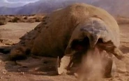 Graboid