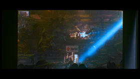 A video shot of the Baby Zillas.