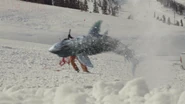 Avalanche Shark